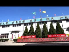 Custom Silicone Rubber Molding Company For Precise Tolerance Of 0.01mm