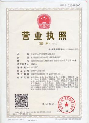 100% RUBBER Silicone Rubber For Molds Plastic Mould Processing Accessories House-hold Appliance Making Injection Molding