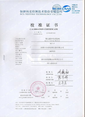 Steel Material Custom Mold for Multiple Cavity Injection Rubber Die Casting