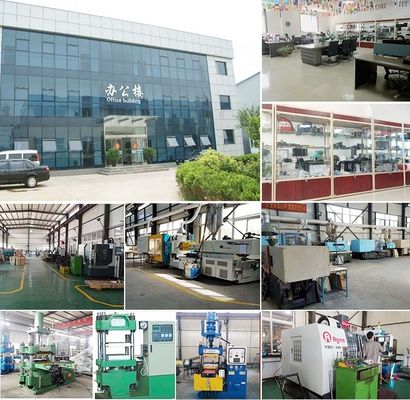 Custom Injection Mold with Various Range Plastic Injection Mould Using Design Software UG or Pro/E and Mould Steel P20, 718, 2738, 2316, S136, NAK80, 2344