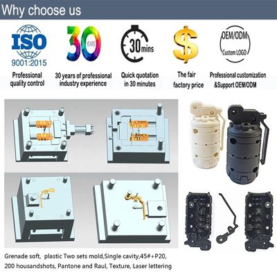 Single Multi Cavity Plastic Injection Mold For Injection Molded Plastic Parts