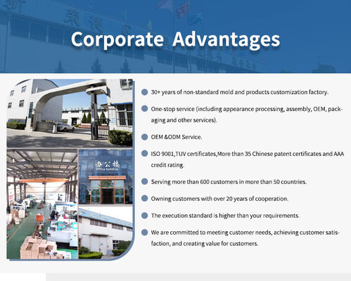 Professional Custom Door Accessory Injection Mould Smooth Surface Precise Size For Interior Exterior Door Parts